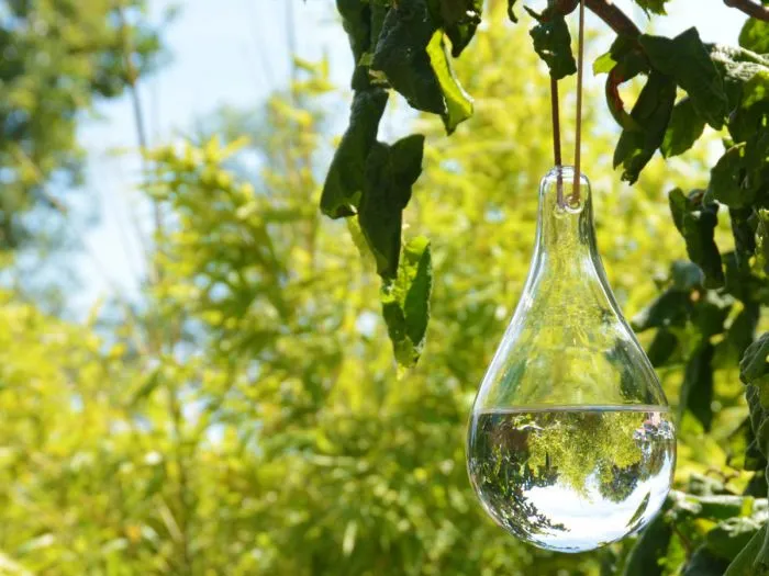 Deterrente per mosche