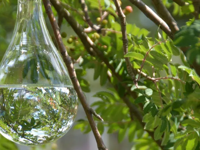 Deterrente per mosche
